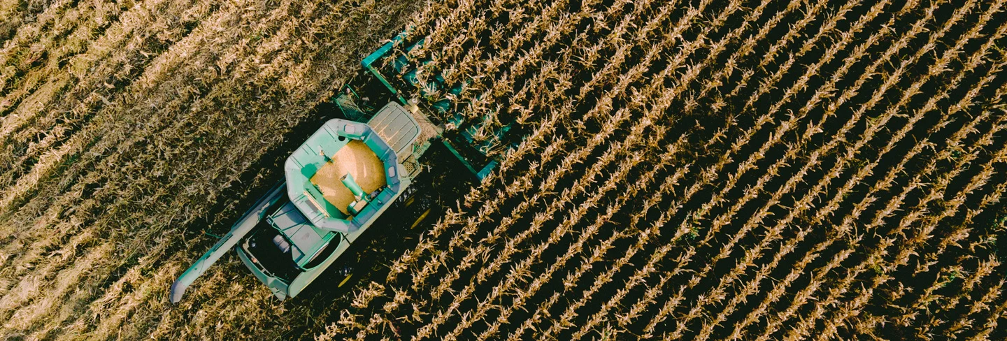 HomesteadFarms Finals 5