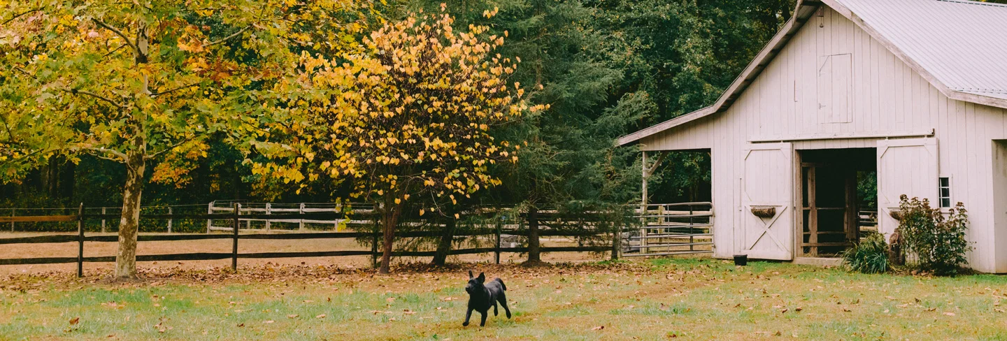 HomesteadFarms Finals 56